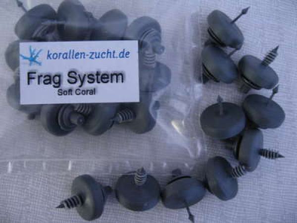 Korallenzucht Frag System Soft Coral Set 10 Stück